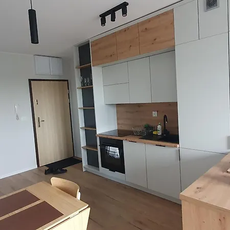 Lux Apartament Skarbowa 1A Free Parking ليشنو